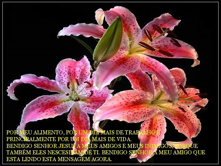 POR MEU ALIMENTO, POR UM DIA MAIS DE TRABALHO E PRINCIPALMENTE POR UM DIA