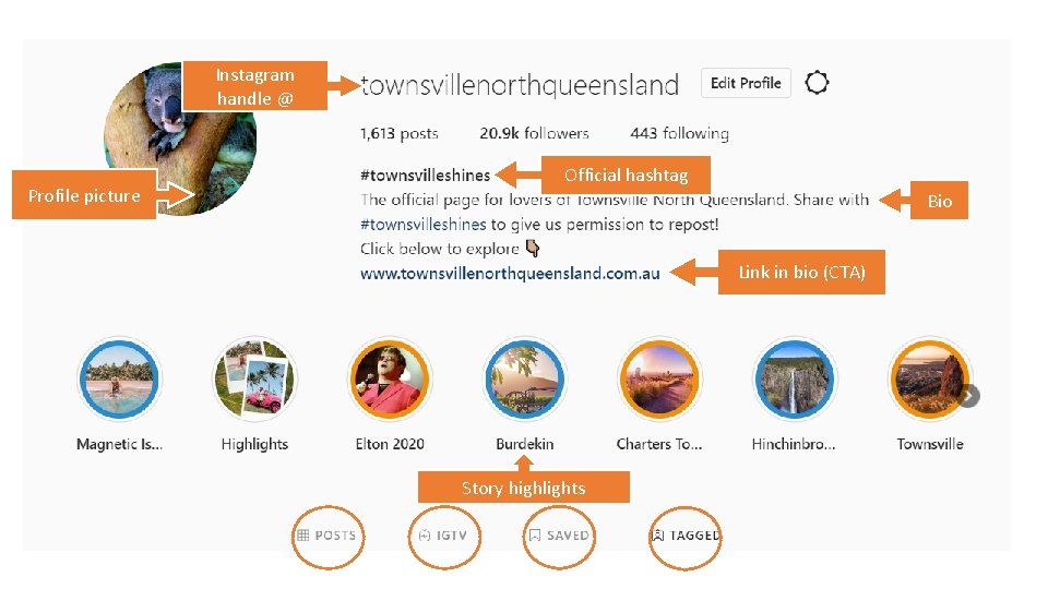 Instagram handle @ Profile picture Official hashtag Bio Link in bio (CTA) Story highlights