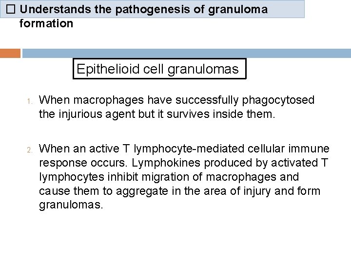 � Understands the pathogenesis of granuloma formation Epithelioid cell granulomas 1. 2. When macrophages