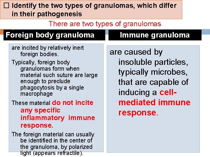 � Identify the two types of granulomas, which differ in their pathogenesis There are
