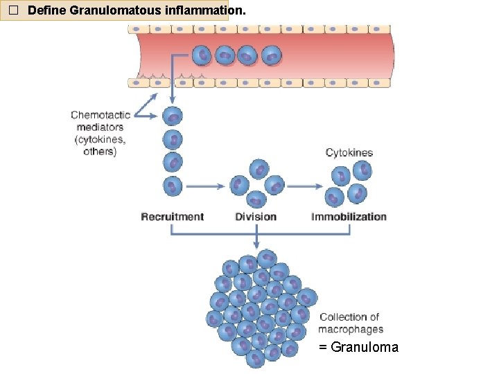 � Define Granulomatous inflammation. = Granuloma 