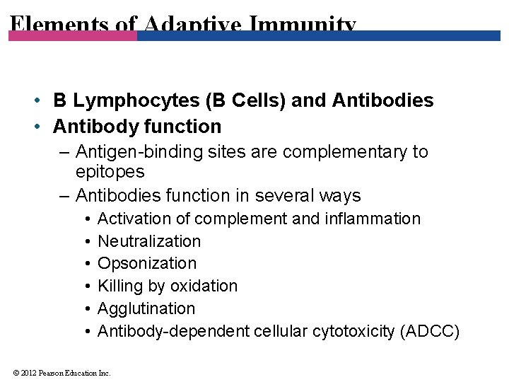 Elements of Adaptive Immunity • B Lymphocytes (B Cells) and Antibodies • Antibody function