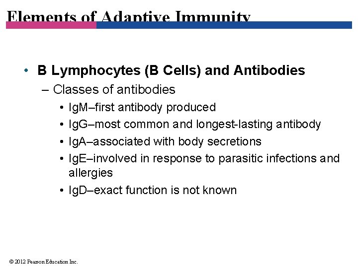 Elements of Adaptive Immunity • B Lymphocytes (B Cells) and Antibodies – Classes of