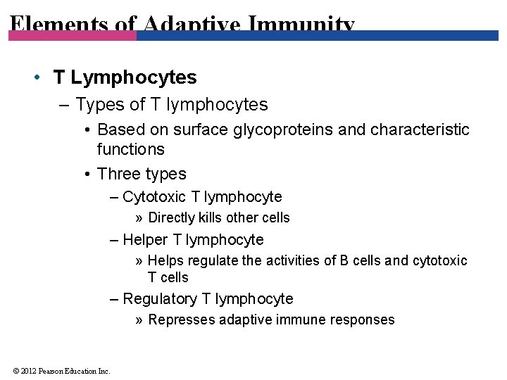 Elements of Adaptive Immunity • T Lymphocytes – Types of T lymphocytes • Based