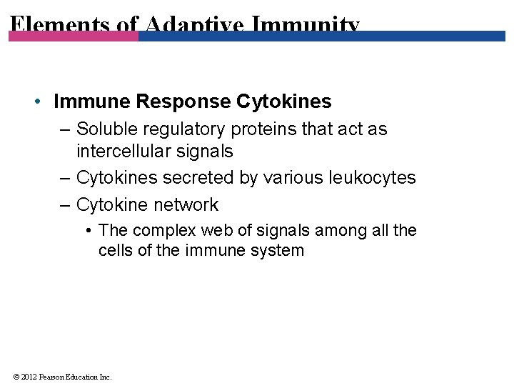Elements of Adaptive Immunity • Immune Response Cytokines – Soluble regulatory proteins that act