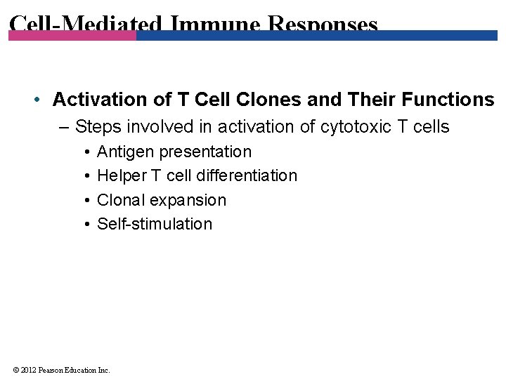 Cell-Mediated Immune Responses • Activation of T Cell Clones and Their Functions – Steps