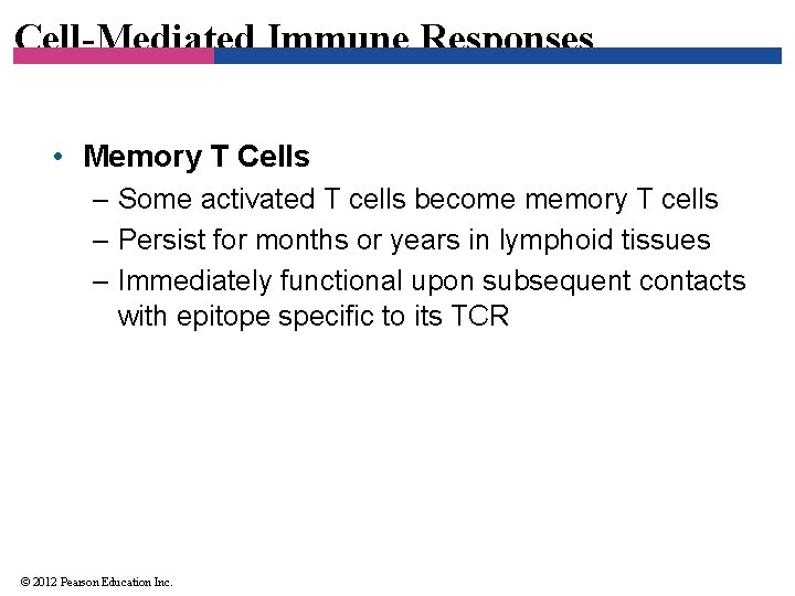 Cell-Mediated Immune Responses • Memory T Cells – Some activated T cells become memory