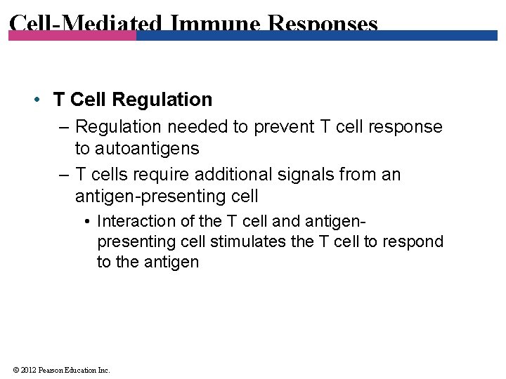 Cell-Mediated Immune Responses • T Cell Regulation – Regulation needed to prevent T cell
