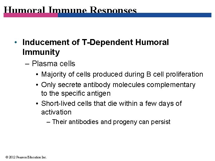 Humoral Immune Responses • Inducement of T-Dependent Humoral Immunity – Plasma cells • Majority