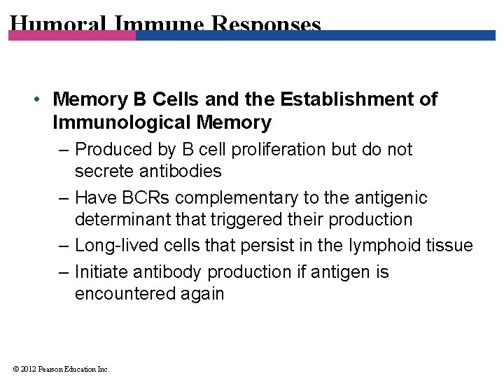 Humoral Immune Responses • Memory B Cells and the Establishment of Immunological Memory –