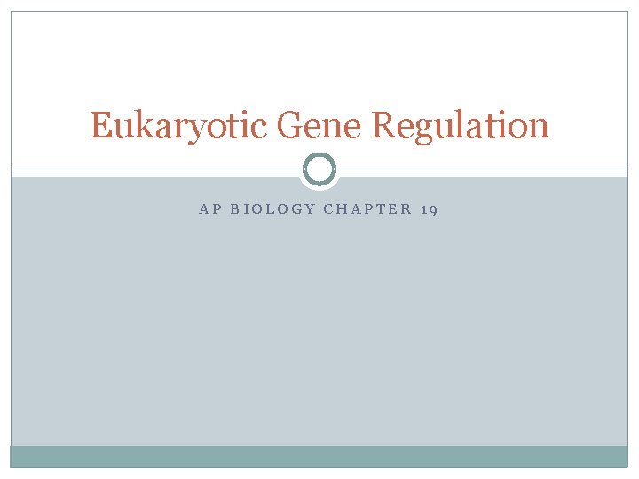 Eukaryotic Gene Regulation AP BIOLOGY CHAPTER 19 