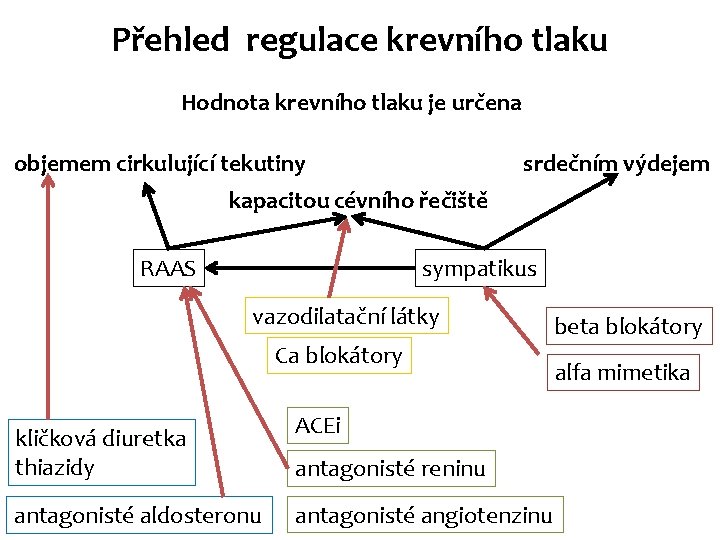 Přehled regulace krevního tlaku Hodnota krevního tlaku je určena objemem cirkulující tekutiny srdečním výdejem Přehled regulace krevního tlaku Hodnota krevního tlaku je určena objemem cirkulující tekutiny srdečním výdejem