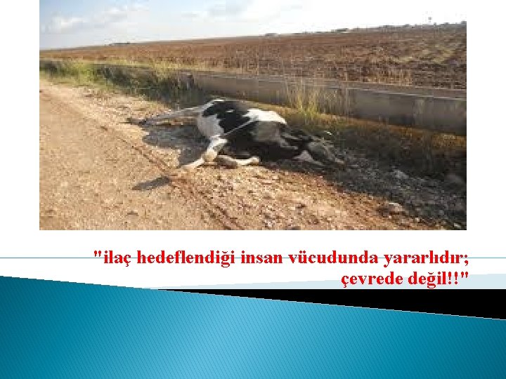 "ilaç hedeflendiği insan vücudunda yararlıdır; çevrede değil!!" 