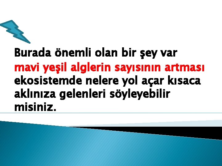 Burada önemli olan bir şey var mavi yeşil alglerin sayısının artması ekosistemde nelere yol