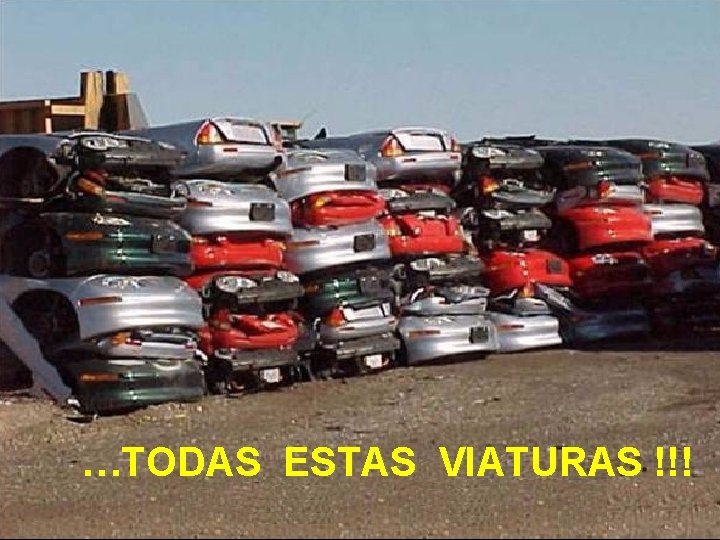 …TODAS ESTAS VIATURAS !!! 