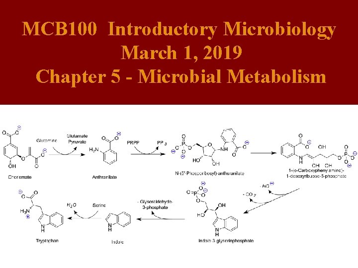 MCB 100 Introductory Microbiology March 1, 2019 Chapter 5 - Microbial Metabolism 