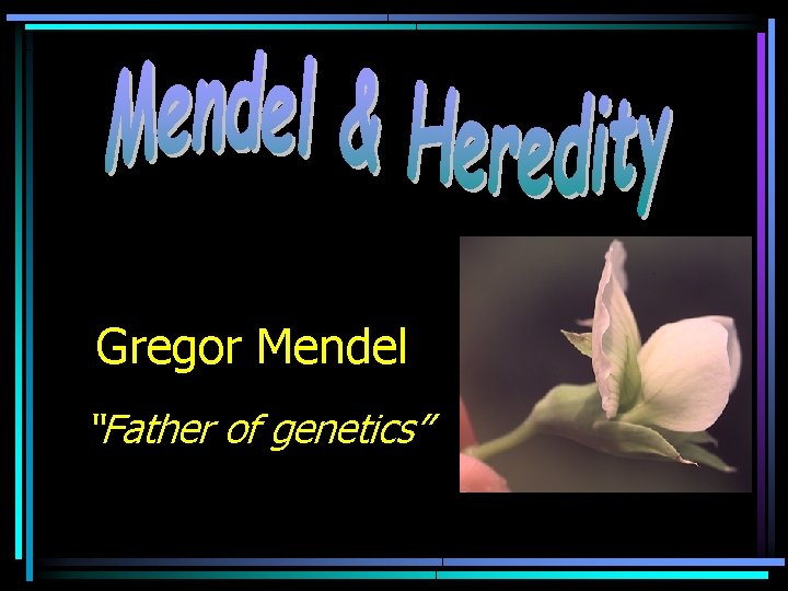 Gregor Mendel “Father of genetics” 