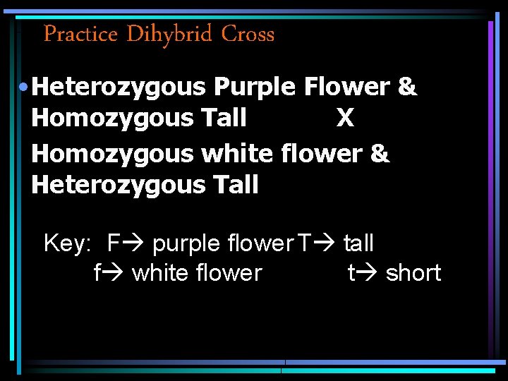 Practice Dihybrid Cross • Heterozygous Purple Flower & Homozygous Tall X Homozygous white flower