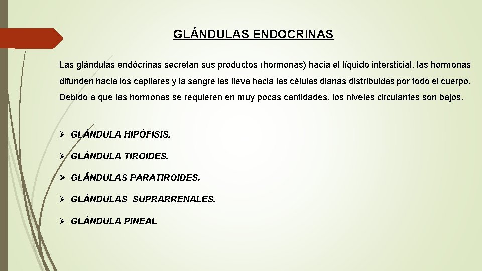 GLÁNDULAS ENDOCRINAS Las glándulas endócrinas secretan sus productos (hormonas) hacia el líquido intersticial, las GLÁNDULAS ENDOCRINAS Las glándulas endócrinas secretan sus productos (hormonas) hacia el líquido intersticial, las