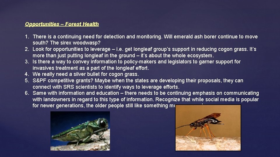 Opportunities – Forest Health 1. There is a continuing need for detection and monitoring.