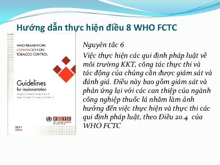 Hướng dẫn thực hiện điều 8 WHO FCTC Nguyên tắc 6 Việc thực hiện