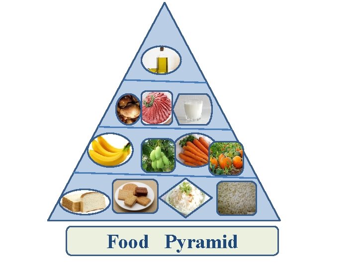 Food Pyramid 