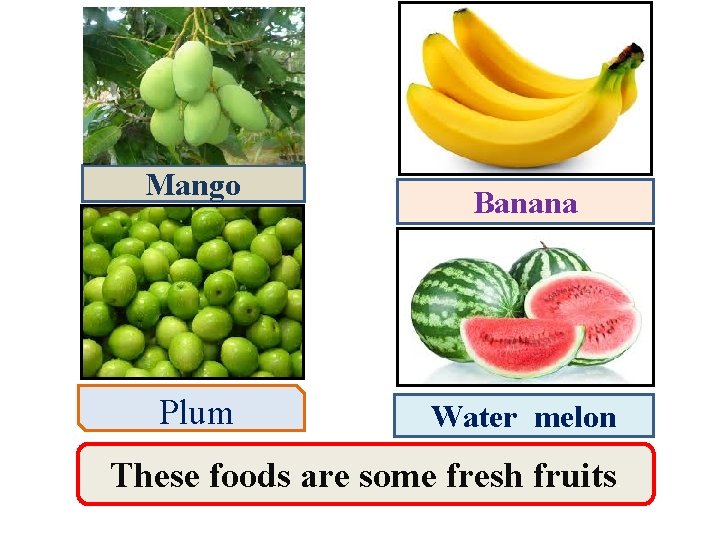 Mango Plum Banana Water melon These foods are some fresh fruits. 