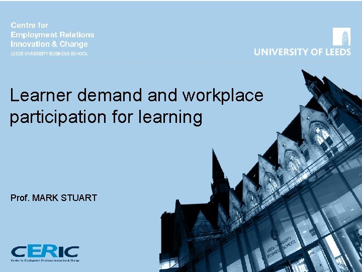 Learner demand workplace participation for learning Prof. MARK STUART 