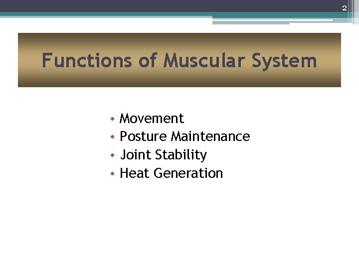 2 Functions of Muscular System • • Movement Posture Maintenance Joint Stability Heat Generation