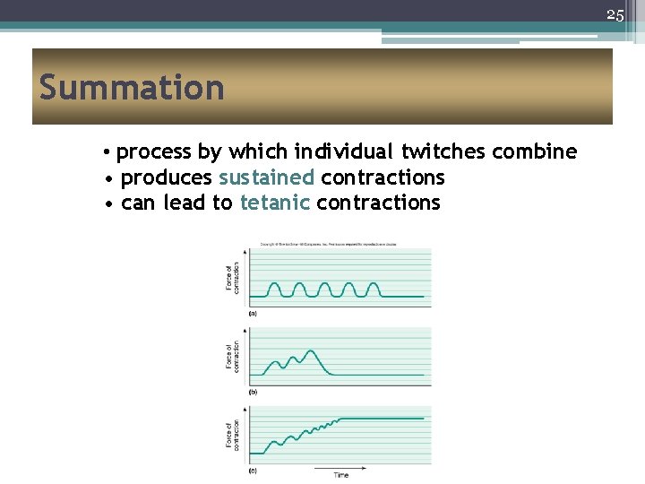 25 Summation • process by which individual twitches combine • produces sustained contractions •