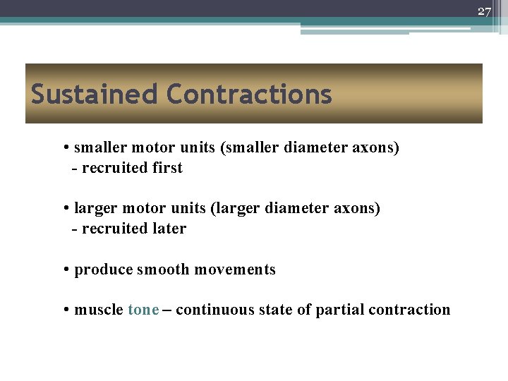27 Sustained Contractions • smaller motor units (smaller diameter axons) - recruited first •
