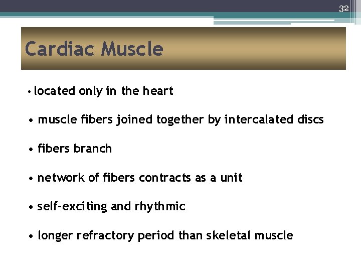 32 Cardiac Muscle • located only in the heart • muscle fibers joined together