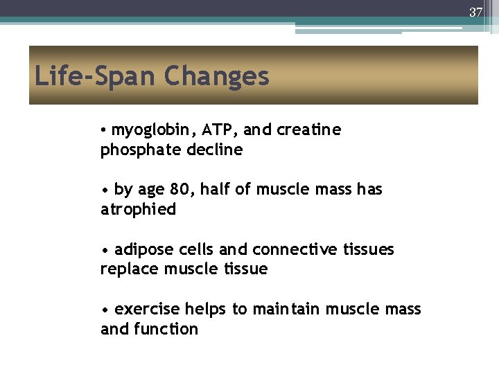 37 Life-Span Changes • myoglobin, ATP, and creatine phosphate decline • by age 80,