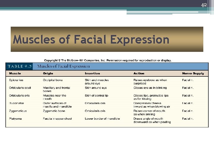 42 Muscles of Facial Expression 