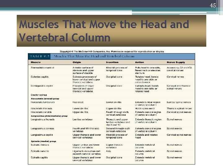 45 Muscles That Move the Head and Vertebral Column 
