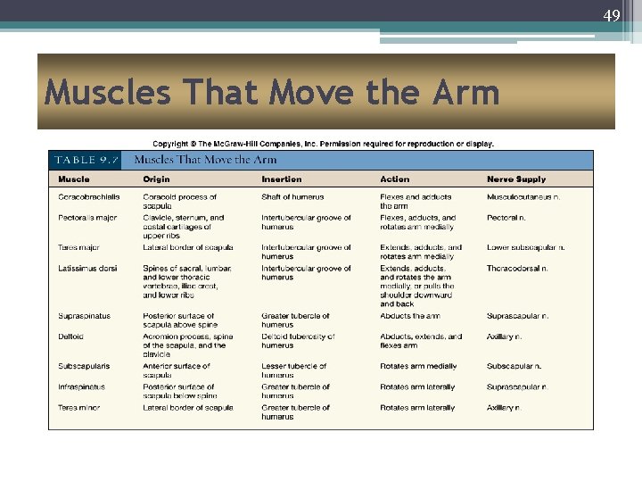 49 Muscles That Move the Arm 