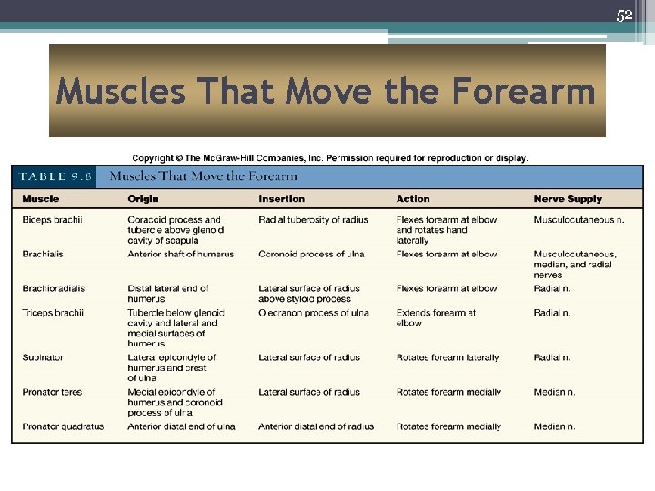 52 Muscles That Move the Forearm 