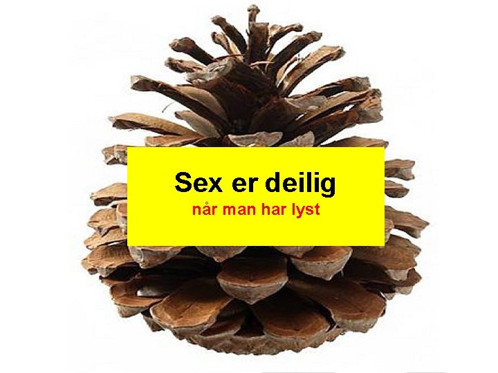 Sex er deilig når man har lyst 