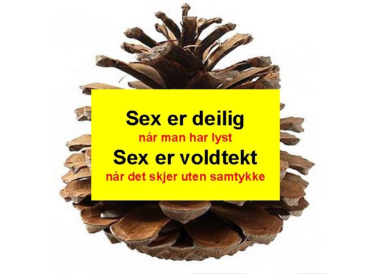 Sex er deilig når man har lyst Sex er voldtekt når det skjer uten