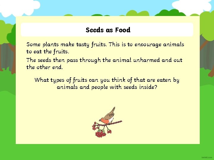 Seeds as Food Some plants make tasty fruits. This is to encourage animals to