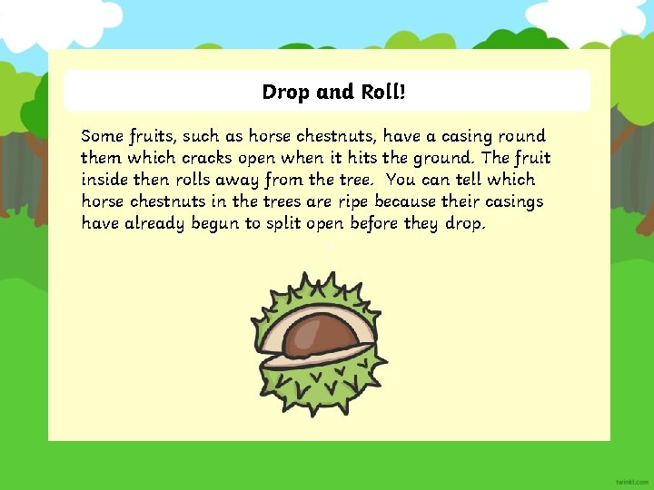 Drop and Roll! Some fruits, such as horse chestnuts, have a casing round them