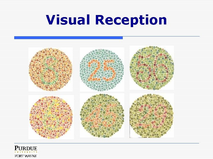 Visual Reception 