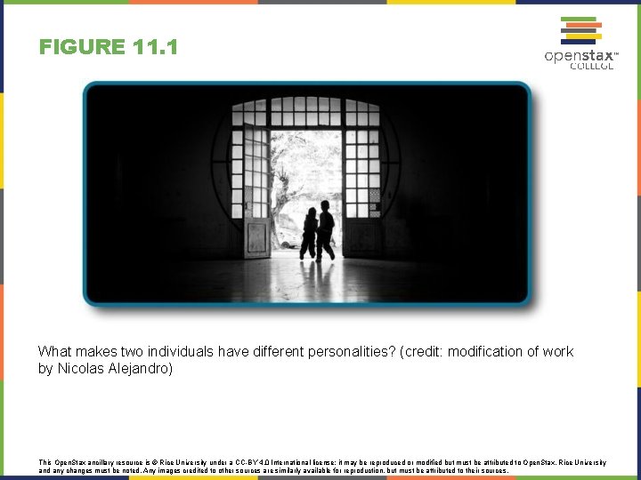 FIGURE 11. 1 What makes two individuals have different personalities? (credit: modification of work