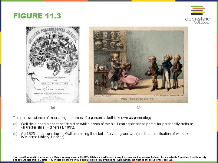 FIGURE 11. 3 The pseudoscience of measuring the areas of a person’s skull is