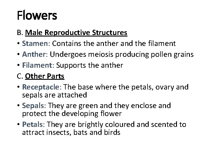 Flowers B. Male Reproductive Structures • Stamen: Contains the anther and the filament •