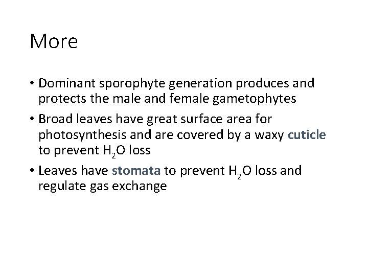 More • Dominant sporophyte generation produces and protects the male and female gametophytes •