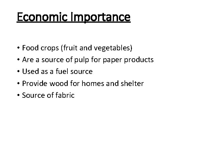 Economic Importance • Food crops (fruit and vegetables) • Are a source of pulp