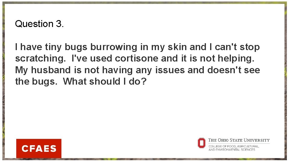 Question 3. I have tiny bugs burrowing in my skin and I can't stop