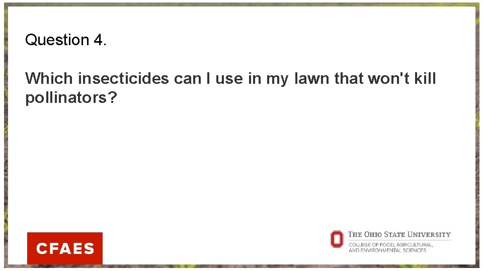 Question 4. Which insecticides can I use in my lawn that won't kill pollinators?