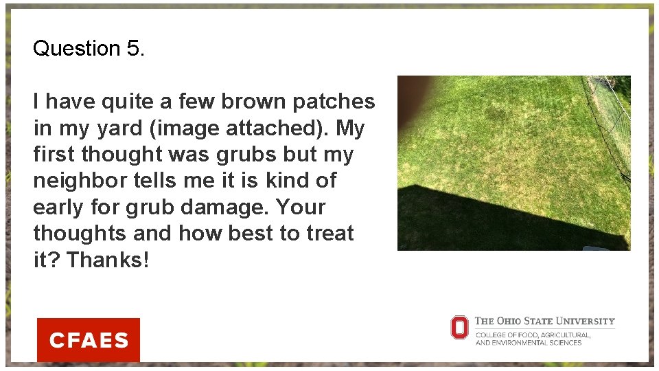 Question 5. I have quite a few brown patches in my yard (image attached).